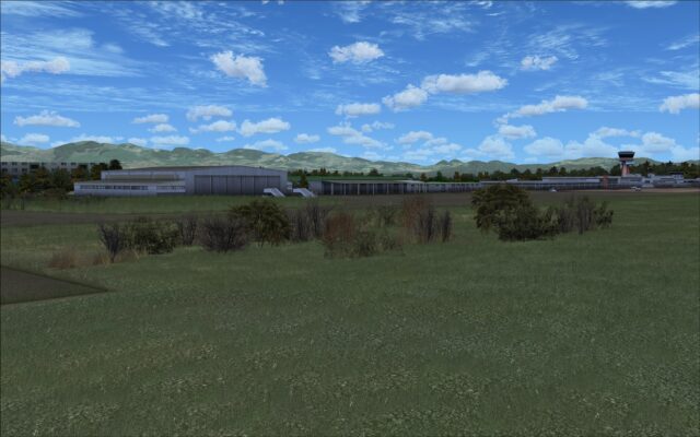 Variety of vegetation