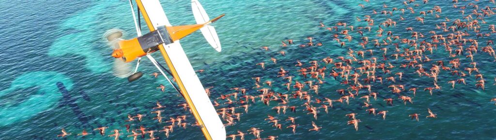 Microsoft FS2020 : "Emphasis on the word SIMULATOR"