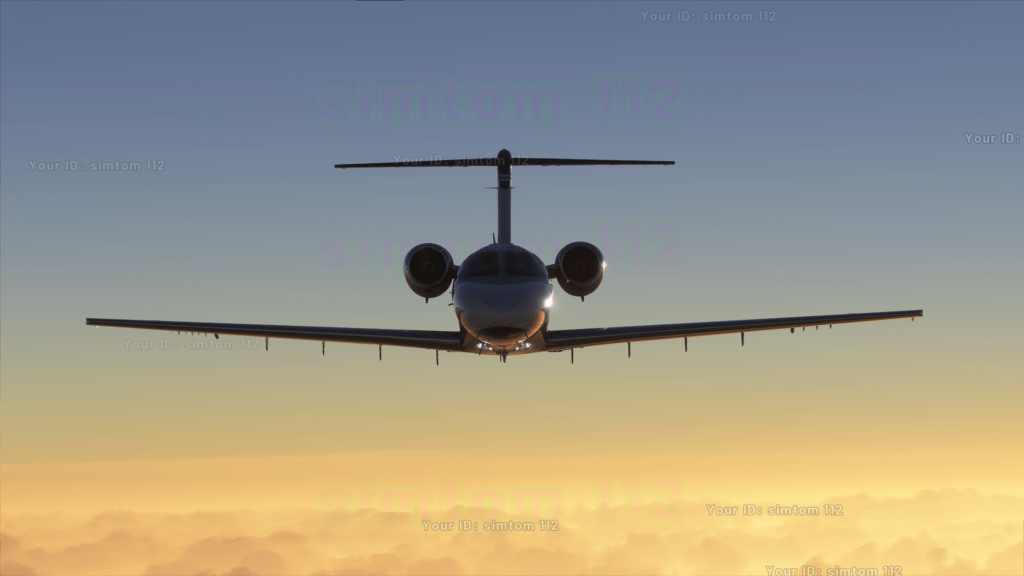 FS2020 - Development Update July 30th VR / Track IR Support