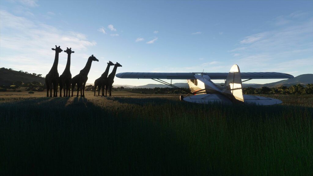 Microsoft Flight Simulator : Development Update