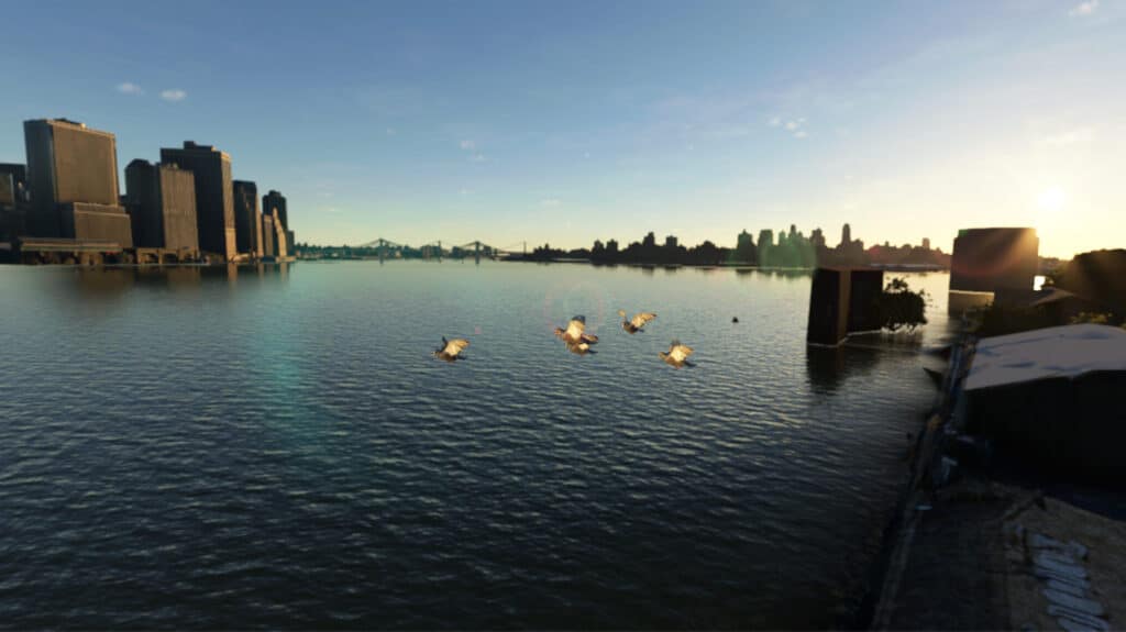 South Oak Co. - FS Birds Northeast USA MSFS