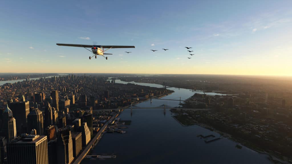 South Oak Co - FS Birds - Midwest USA MSFS