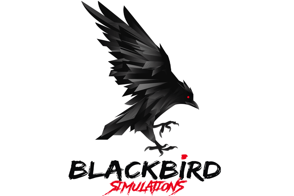 Teaser - Blackbird Simulations Next Aircraft